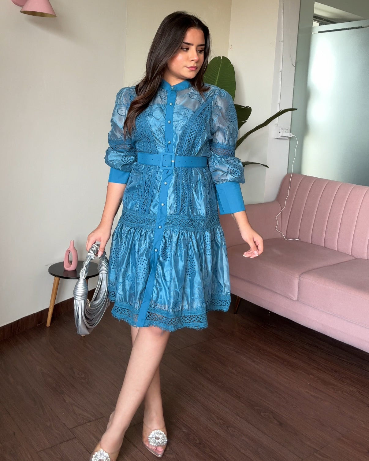 Organza Button Up Embroidered Flared Shirt Dress