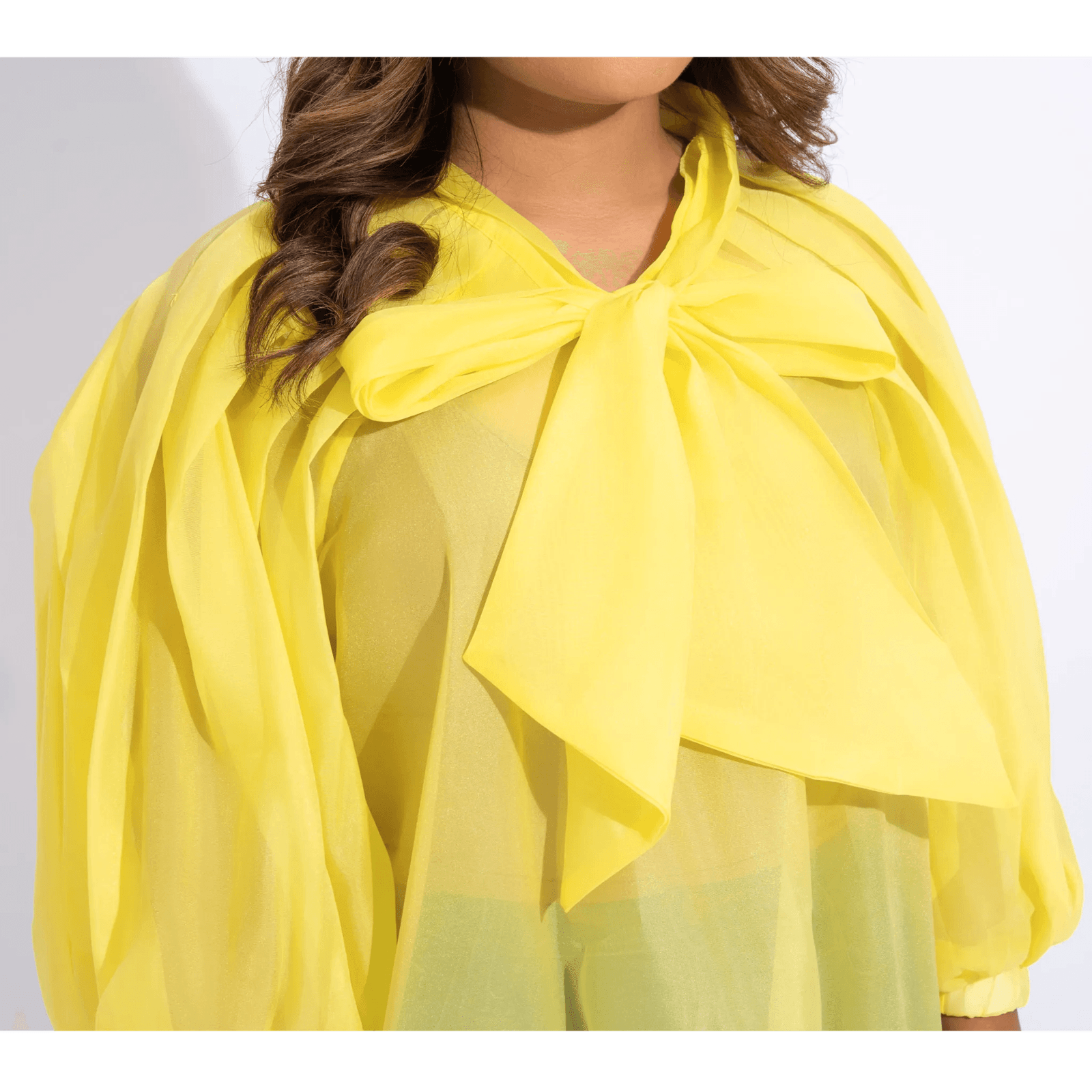 Sheer Bow Blouse
