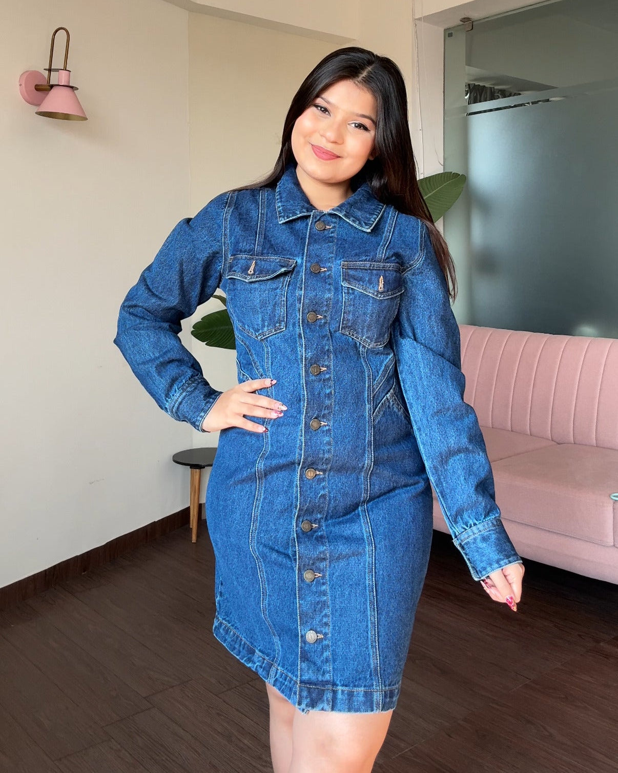 Full Sleeve Fitted Denim Dress