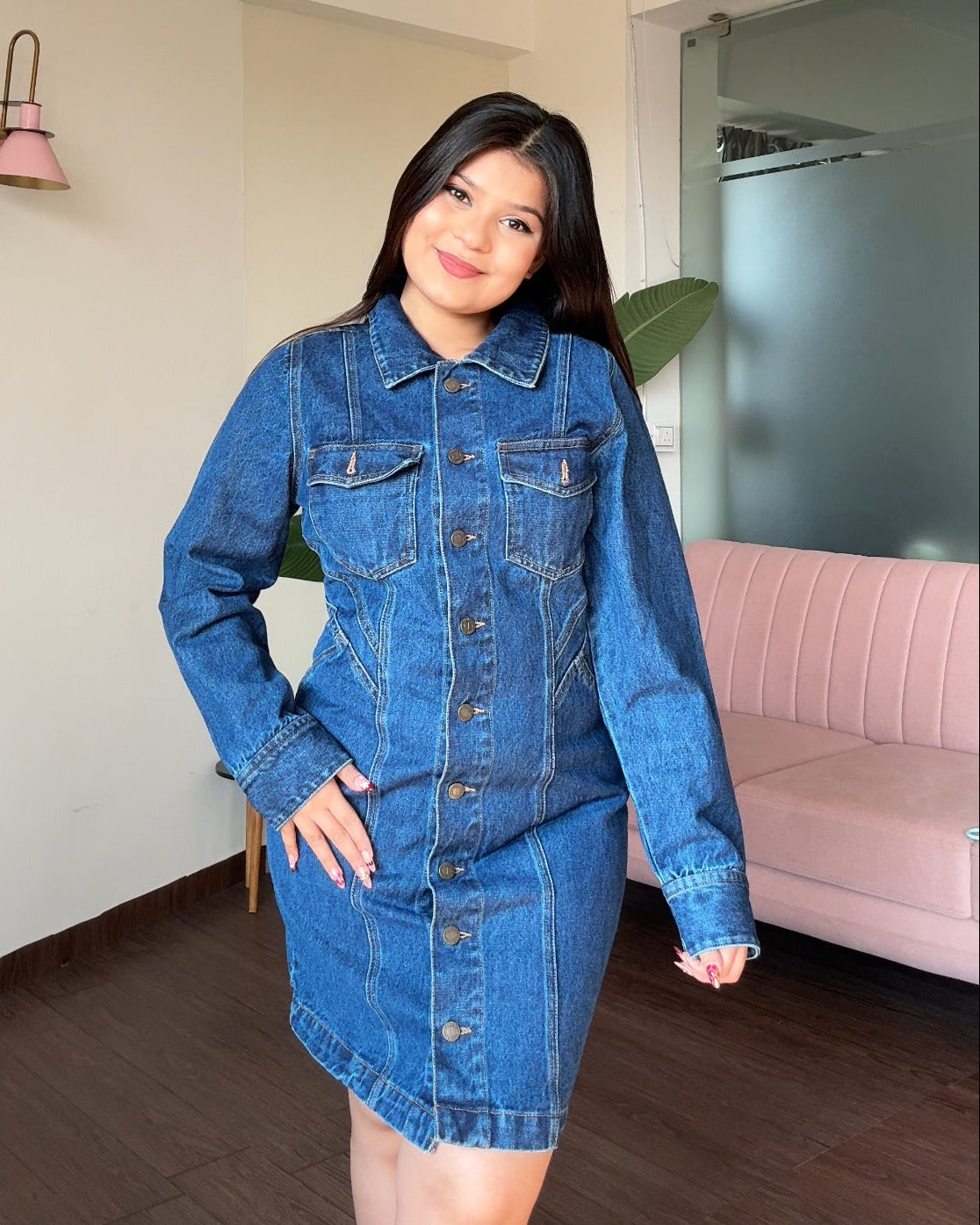 Full Sleeve Fitted Denim Dress