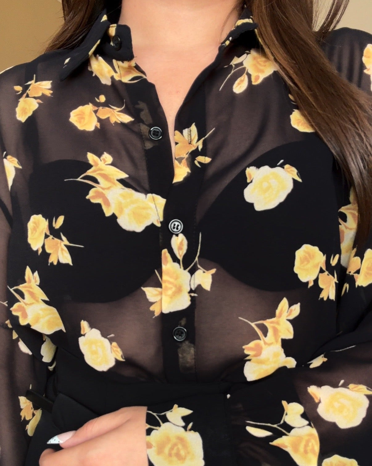 Sheer Rose Detailing Chiffon Shirt